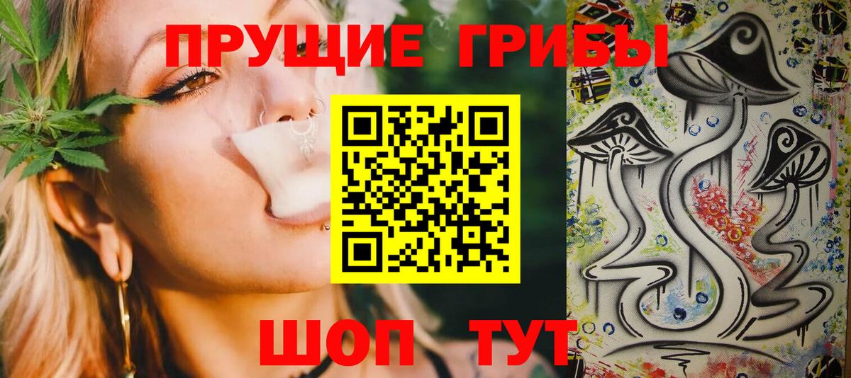Псилоцибиновые грибы мицелий Урюпинск
