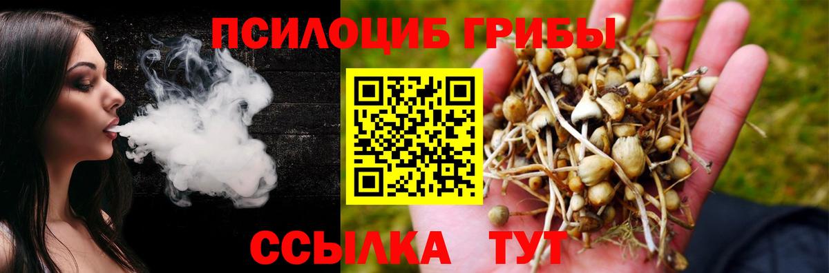 Урюпинск  Псилоцибиновые грибы Magic Shrooms  Вход с VPN 